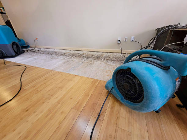 Professional Sewage Cleanup technician working in Russell, MA